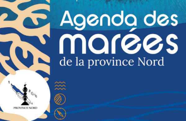 Agenda des marées 2025