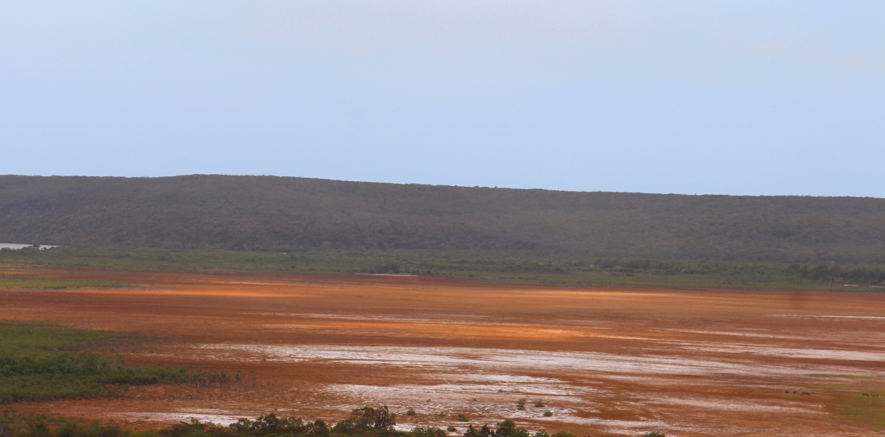 Mangrove Nepwi Nèkö ( Nepoui Poya). ©K.Naaoutchoué.Nov 2017