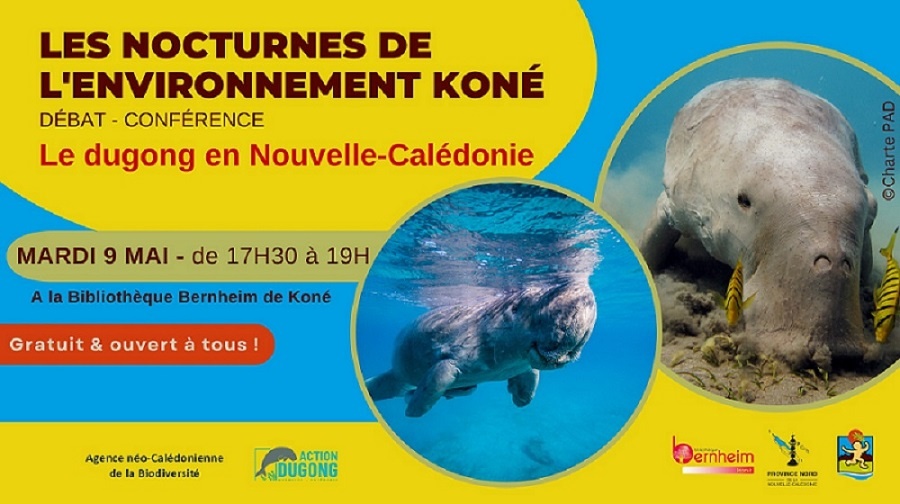 Conférence débat dugong en Nouvelle-Calédonie